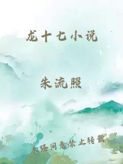 龍十七小說